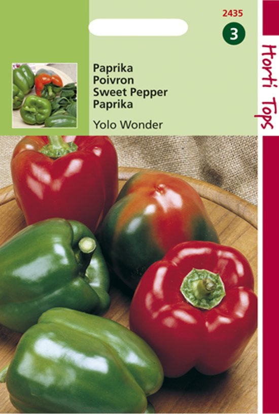 Paprika Yolo Wonder (Capsicum) 200 seeds HT